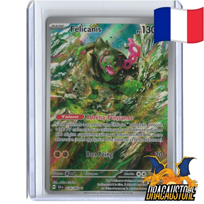 Felicanis 074/064 || Dracaustore.fr