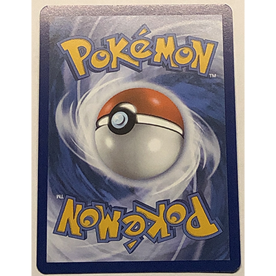 FR || Carte Pokémon Garde de fer EX 225/182