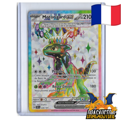 Motorizard EX 228/191 || Dracaustore.fr