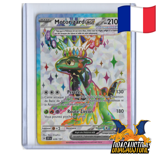 Motorizard EX 228/191 || Dracaustore.fr