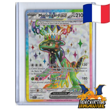 Motorizard EX 228/191 || Dracaustore.fr