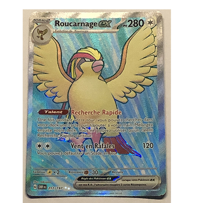 DRACAUSTORE [FR] Carte Pokémon Roucarnage EX 217/197