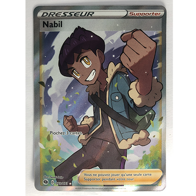 Carte Pokémon Nabil Full Art Officielle version Française 073/073
